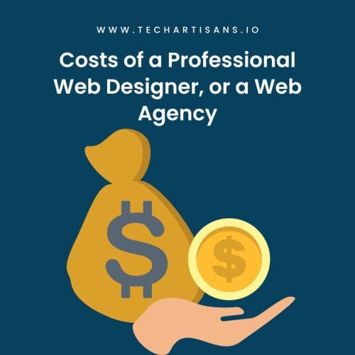 Costs of a professional web designer or a web agency