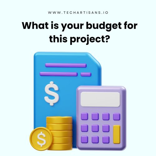What is your budget for this project
