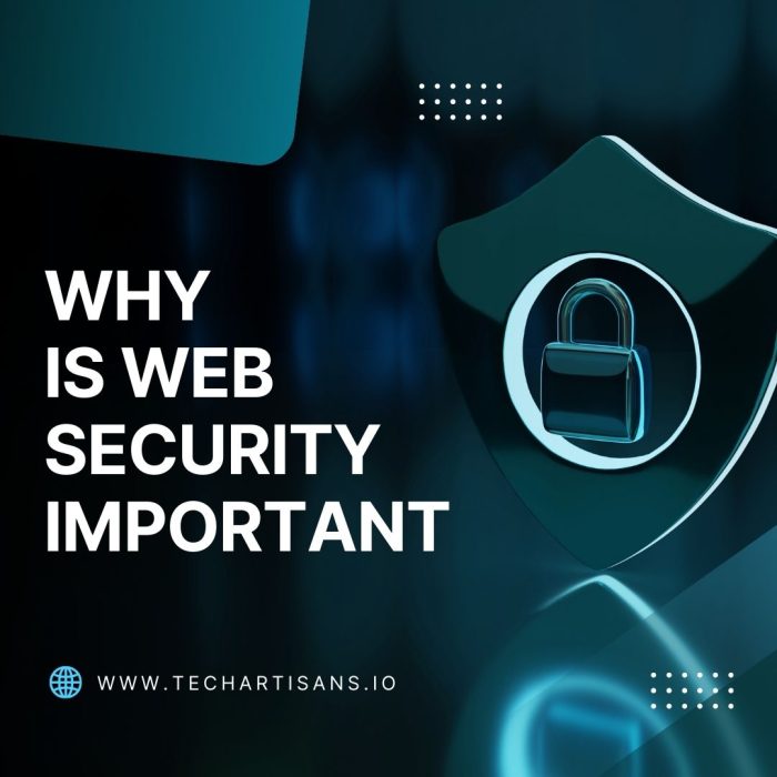 Web Security Important